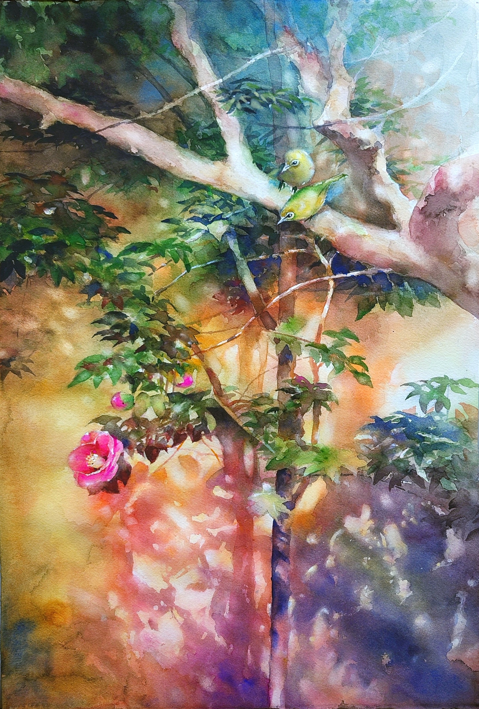 メジロと椿/稲田 純也