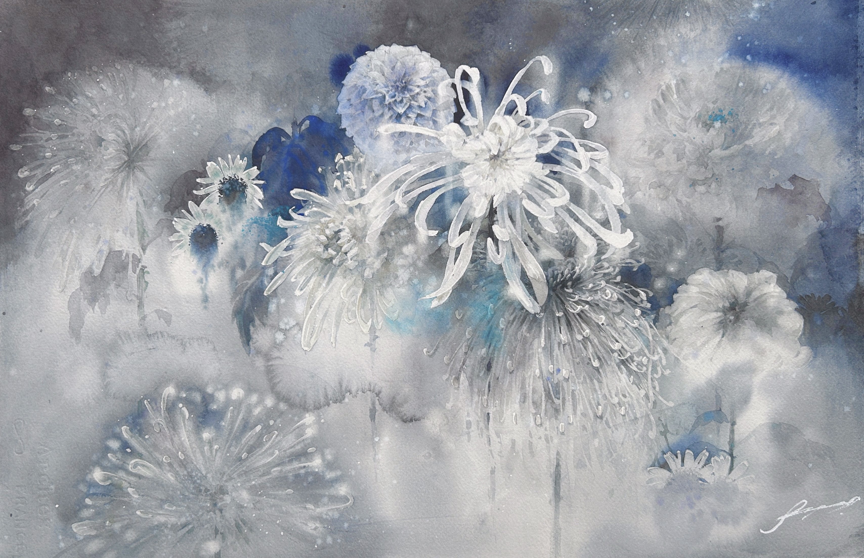 冬花火/ホウ チリュウ